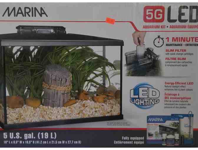 5 Gallon Aquarium with Kit - Photo 1