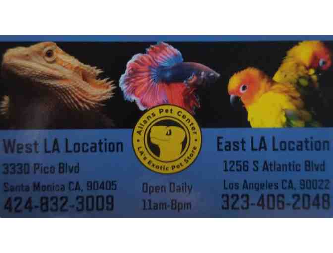 5 Gallon Aquarium with Kit - Photo 2