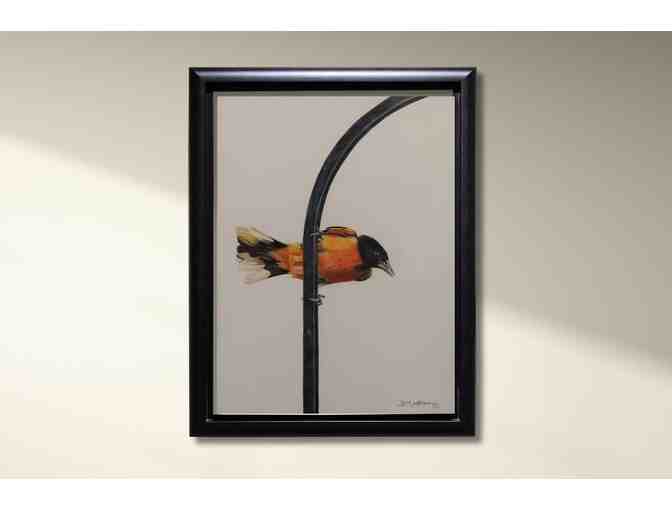 Matted and Framed Original Colored Pencil Piece of Baltimore Oriole