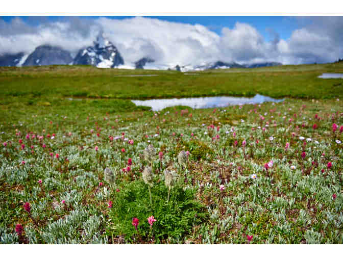 Backcountry Lodge British Columbia, 3-Night Weekend or 4-Night Weekday All-Inclusive Stay - Photo 3