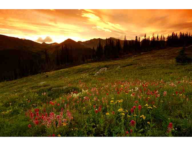 Backcountry Lodge British Columbia, 3-Night Weekend or 4-Night Weekday All-Inclusive Stay - Photo 14