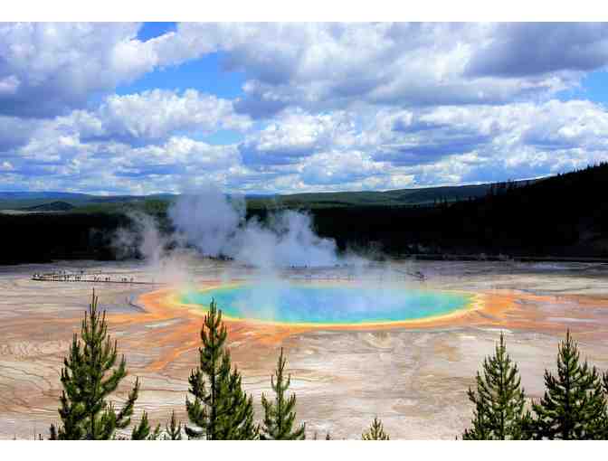 Wild Wyoming: Yellowstone National Park with 3-Night Stay for 2