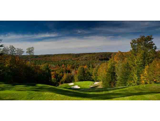 Swing Perfection & Treetop Midweek Golf Vacation
