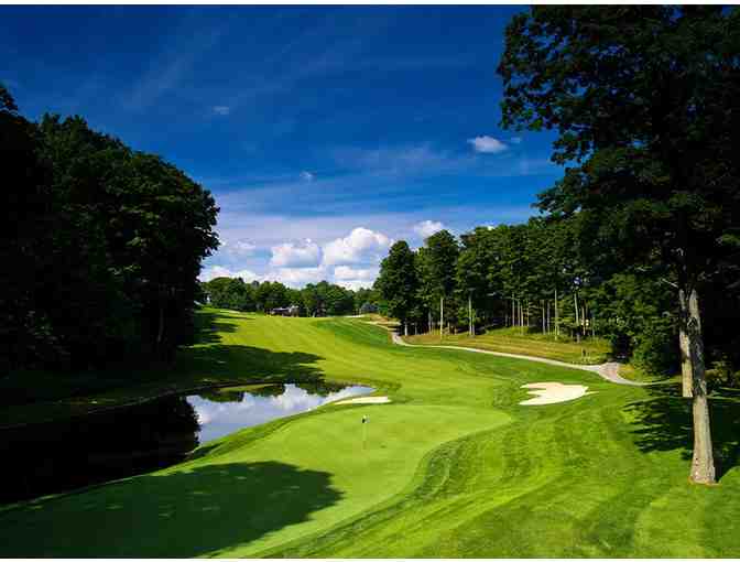 Swing Perfection & Treetop Midweek Golf Vacation