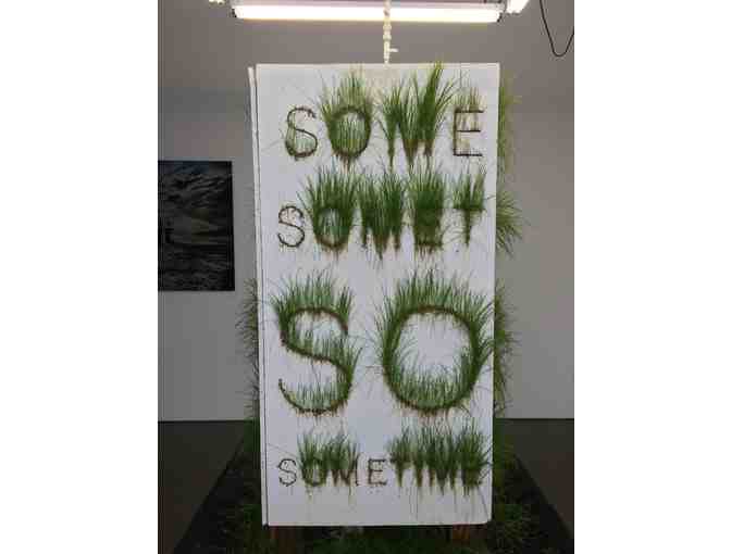'Sometime' by Bill Schuck