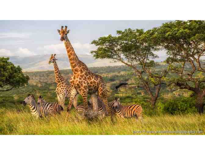 6 Day, 6 Night South African Safari Experience at theZulu Nyala Game Reserve