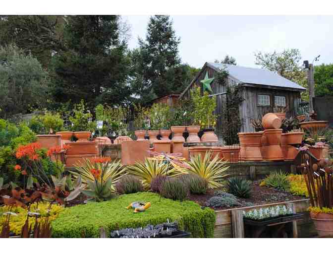 Cottage Gardens of Petaluma - Photo 1