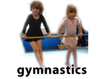 Mega Gymnastics - 1 Month Free Classes & Gift Basket