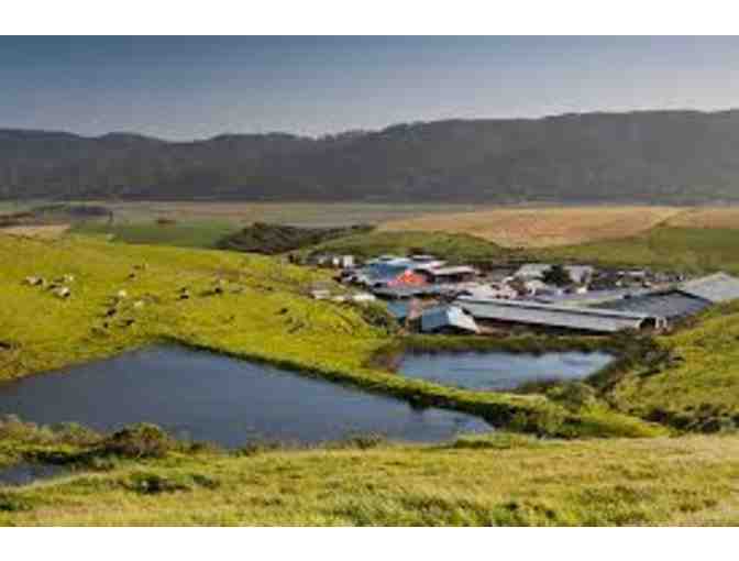 Point Reyes Farmstead Cheese Company -  Tour for 4 guests