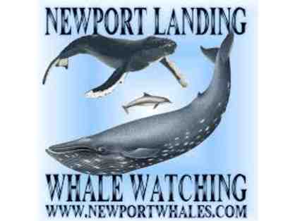 Newport Landing Whale Watching - Two Passes