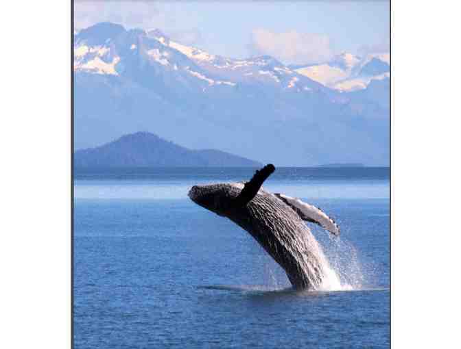 Southeast Alaska Experience