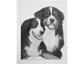 Custom Pencil 16' x 20' Pet Portrait by Artist Bill Muck