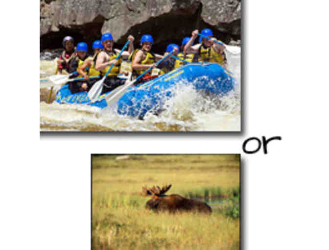 New England Outdoor Center Whitewater Rafting or Wildlife Tour