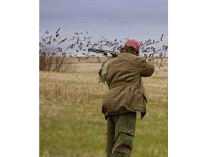 Live Auction - Argentina Dove Hunt (2)