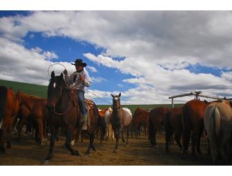 HF Bar Ranch Wyoming