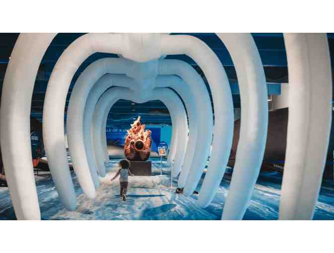 4 Admission Tickets to Clearwater Marine Aquarium