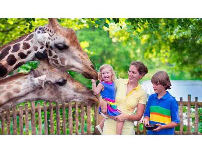 Marine Science Institute Family Membership & Four Happy Hollow Park and Zoo Tickets