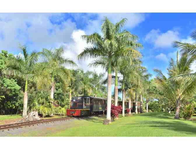 Kauai Plantation Railway for Four, #3