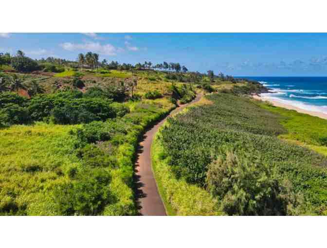 Two 2 HR Bike Rides for 2 - Kauai Beach Bike Rentals