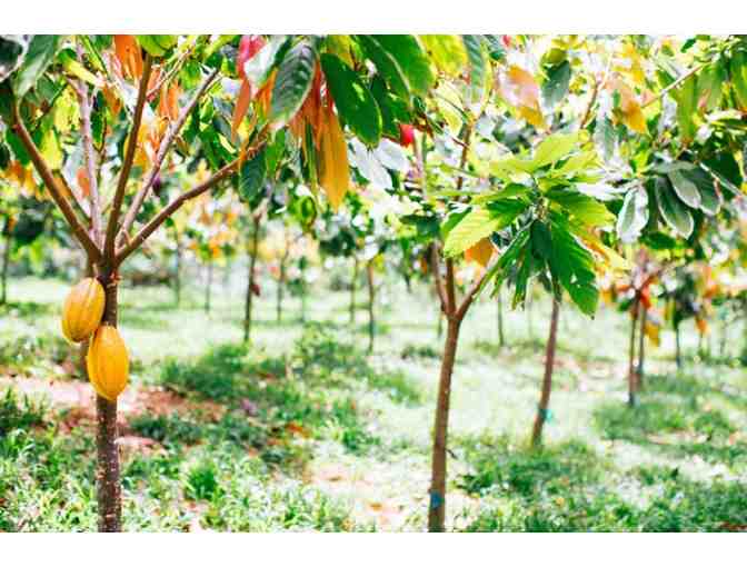 Chocolate Farm Tour for 2 Adults plus an Aloha bag of chocolate - GC #2