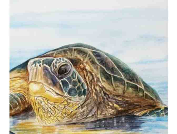 'Honu Side by Side' print by Marcia Minnichhofer