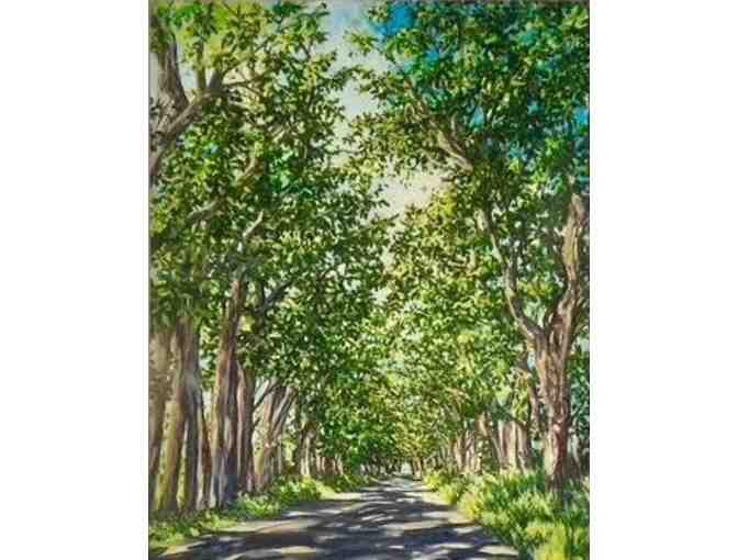 'Tunnel of Trees' by Robin McCoy, Framed Print, Printmaker