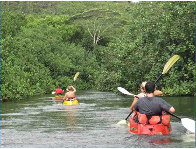 Kayak Wailua Rental of 2 Double Kayaks seats 4 on Wailua River