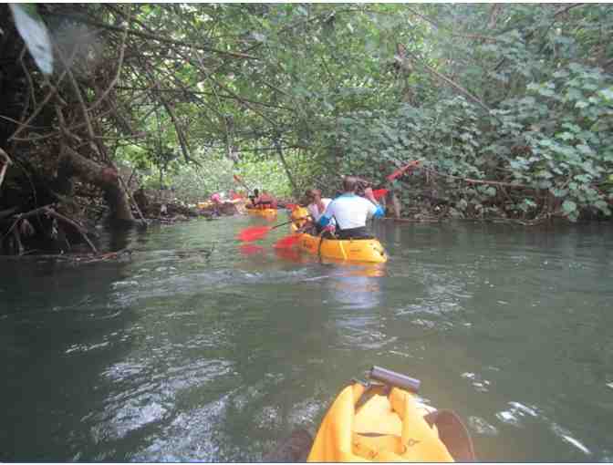 Kayak Wailua Rental of 2 Double Kayaks seats 4 on Wailua River