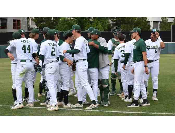 CSUS Hornets Home Baseball Game