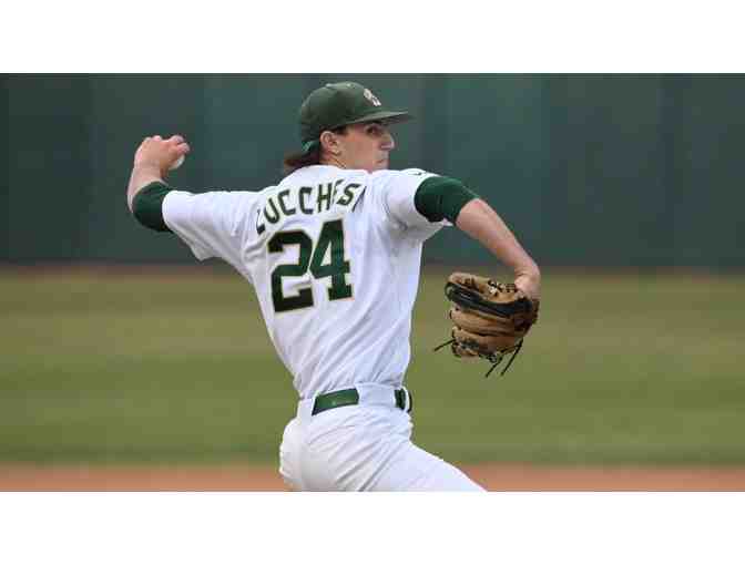 CSUS Hornets Home Baseball Game