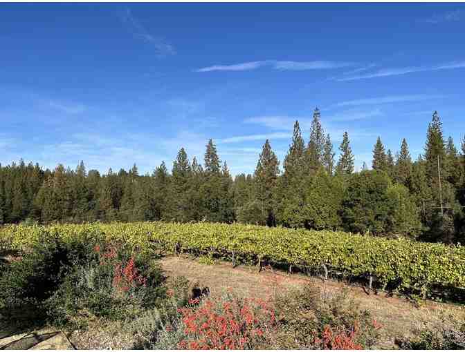 Miraflores Winery Wine