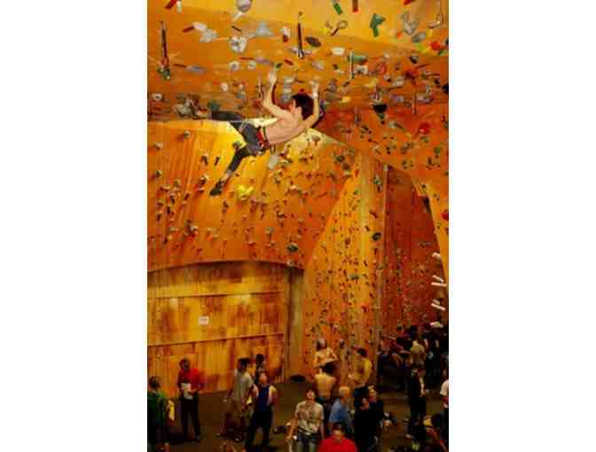 Rocknasium, The Climbing Gym