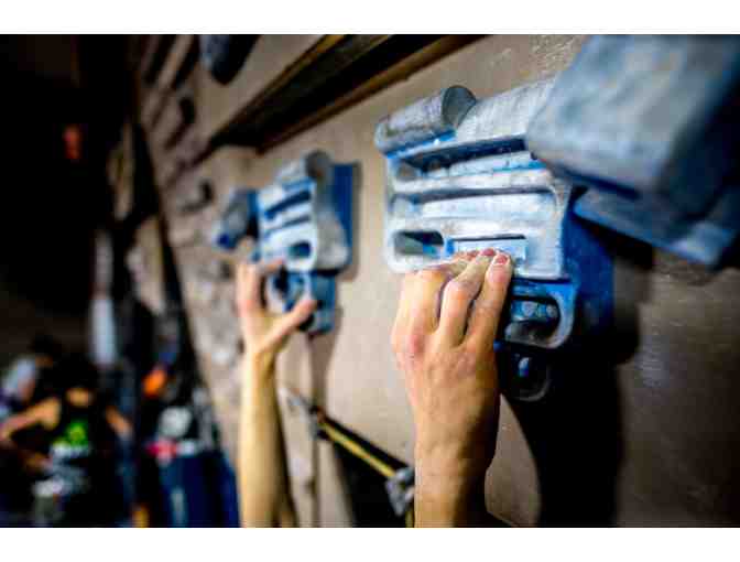 Rocknasium, The Climbing Gym