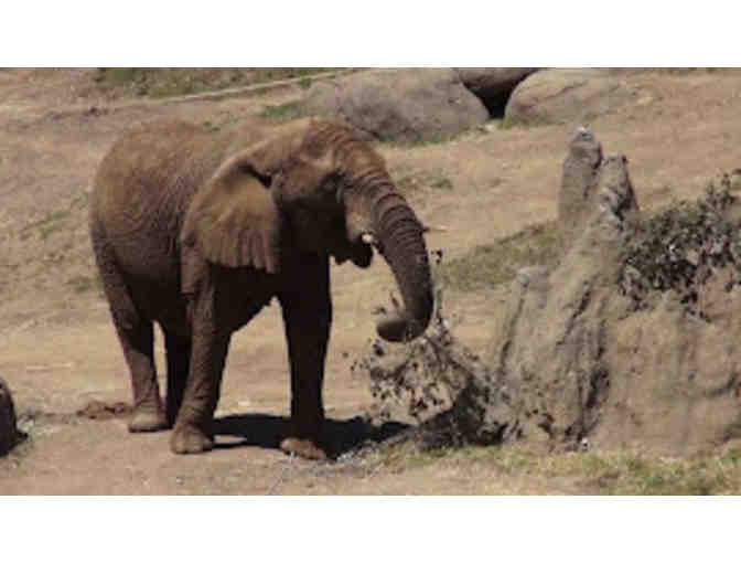 Oakland Zoo, Family Day Pass for Four (4)