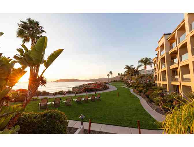 Pups on the Patio, A Pup's Meal and Lunch for Two at Dolphin Bay Resort and Spa