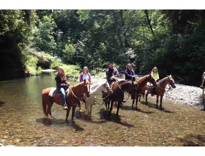 Crescent Trail Rides Gift Basket