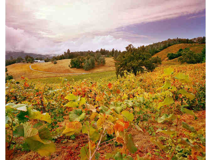 Holly's Hill Winery and Brewery - Wine and Brewery Gift Certificates and Wine