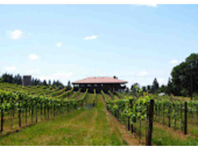 Tour and tasting at Golden Leaves Vineyard & Winery