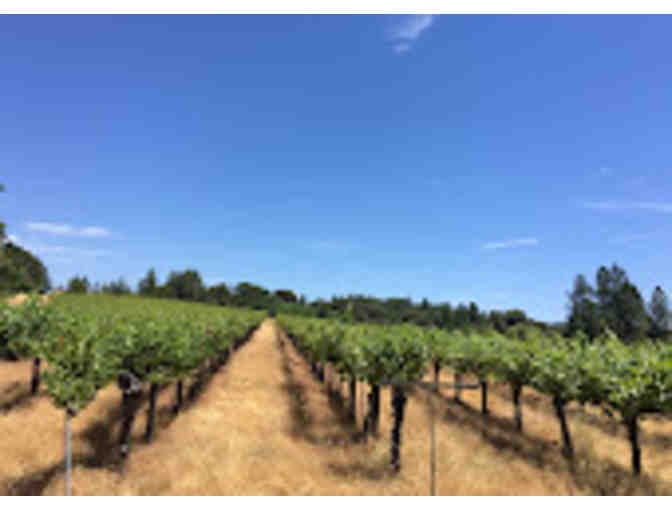 Bumgarner Winery & Vineyards Wine Pairing Experience