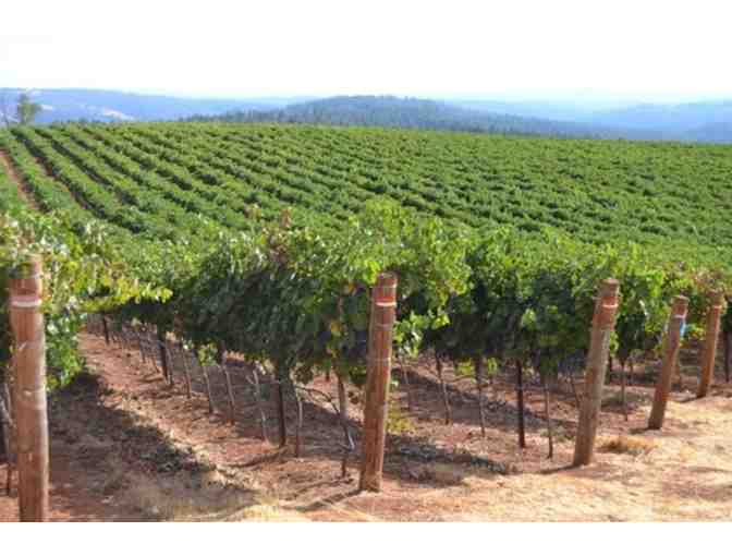Bumgarner Winery & Vineyards Wine Pairing Experience