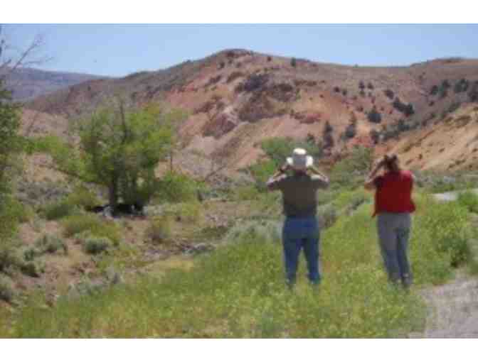 Magnificent Mustangs Tour and One (1) Night Stay in Reno, NV.