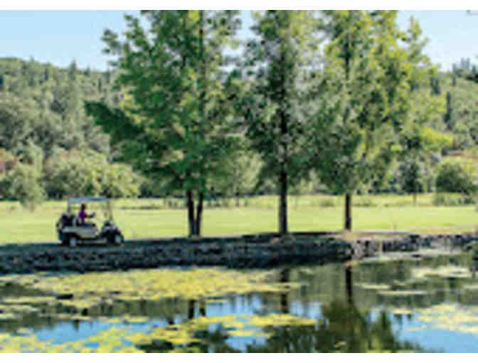 Cold Springs Golf & Country Club, Round of Golf for Four (4)