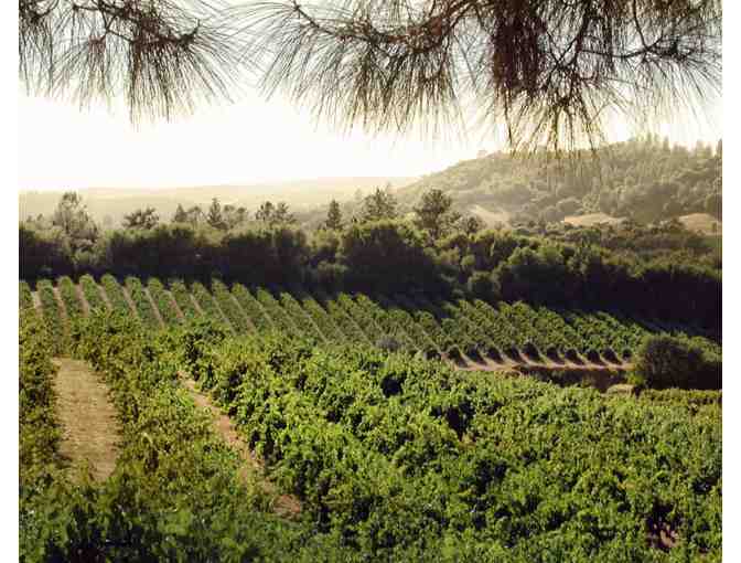 Sobon Estate/Shenandoah Vineyards Wine Tasting and Wine