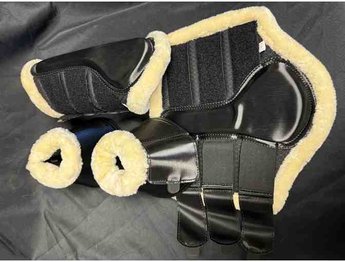 Classic Equine Splint Boots and Bell Boots