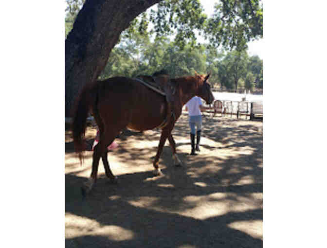 Riding Lessons at Equine Unlimited