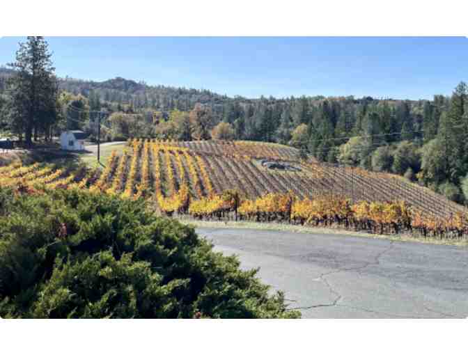 Cielo Sulla Terra Estate Vineyards and Winery Gift Certificate