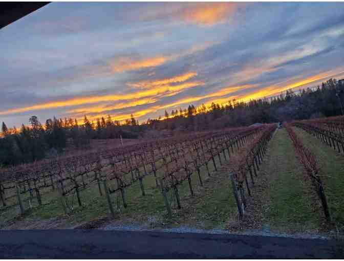 Wine Tasting at Golden Leaves Vineyard & Winery