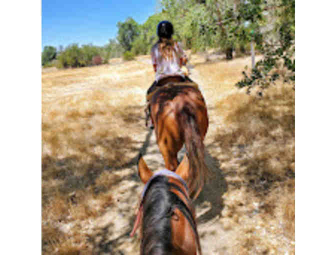 Shadow Glen Stables Trail Ride