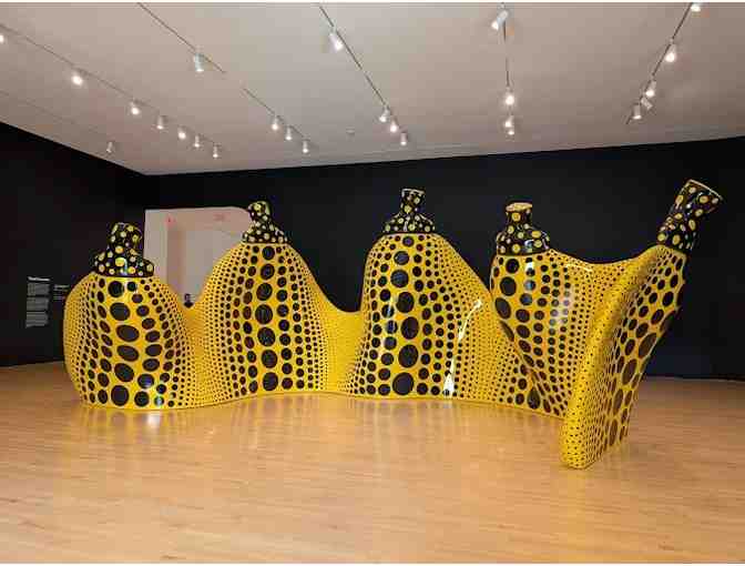 Visit the San Francisco MOMA (Museum of Modern Art)