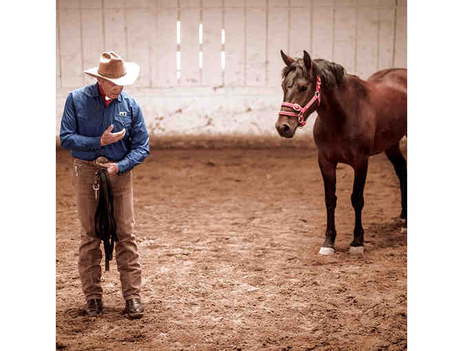 Monty Roberts Introductory Course of Horsemanship